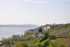 Ein Blick zu Meersburg